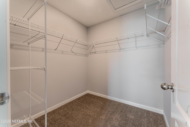 10318 Benson Lake Dr, Jacksonville, FL 32222 - walk in closet with carpet flooring