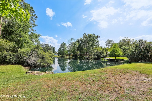 400 Harvest Bend Dr, Fleming Island, FL 32003 - water view