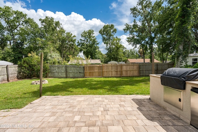 2599 Sandy Hollow Dr, Middleburg, FL 32068 - fenced backyard featuring a grill and a patio