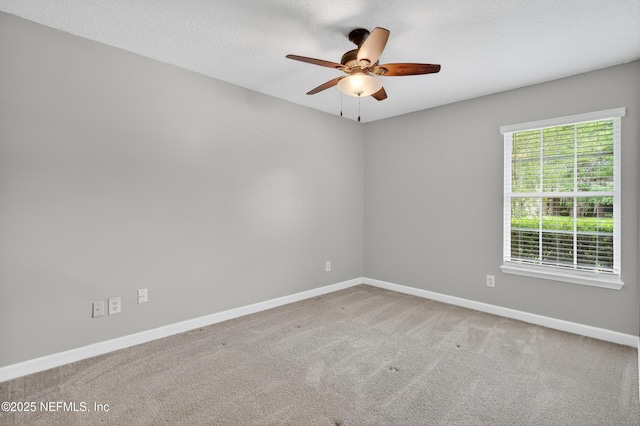 2599 Sandy Hollow Dr, Middleburg, FL 32068 - empty room with ceiling fan, carpet flooring, and a textured ceiling