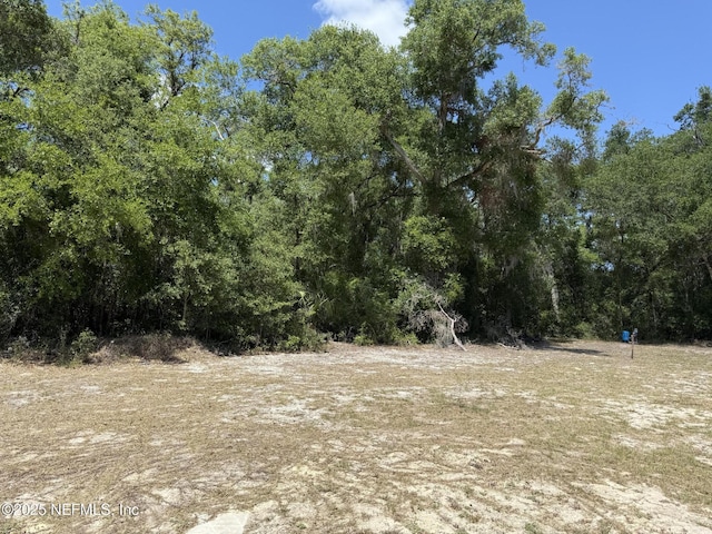 view of landscape featuring a view of trees