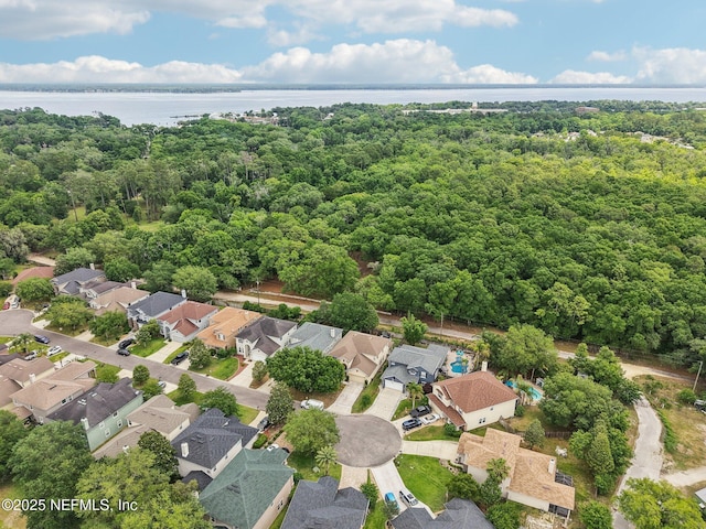 3367 Turkey Creek Dr, Green Cove Springs, FL 32043 - aerial perspective of suburban area with a nearby body of water and a heavily wooded area