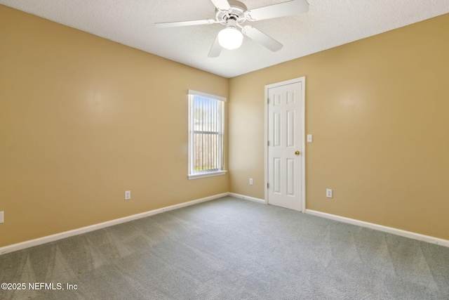 11529 Summer Brook Ct, Jacksonville, FL 32258 - photo 23
