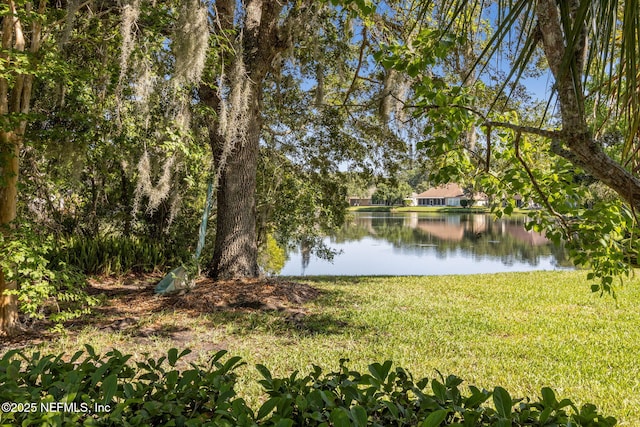 11529 Summer Brook Ct, Jacksonville, FL 32258 - photo 29