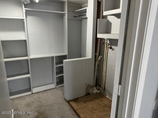 spacious closet with carpet flooring