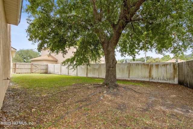 854 Wilmington Ln, Orange Park, FL 32065 - photo 30