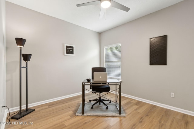 854 Wilmington Ln, Orange Park, FL 32065 - photo 43