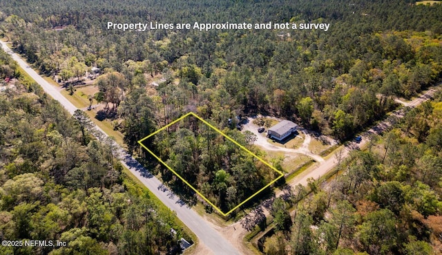 10600 Gregory Ave, Hastings, FL 32145 - photo 1
