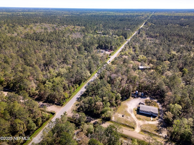 10600 Gregory Ave, Hastings, FL 32145 - photo 2