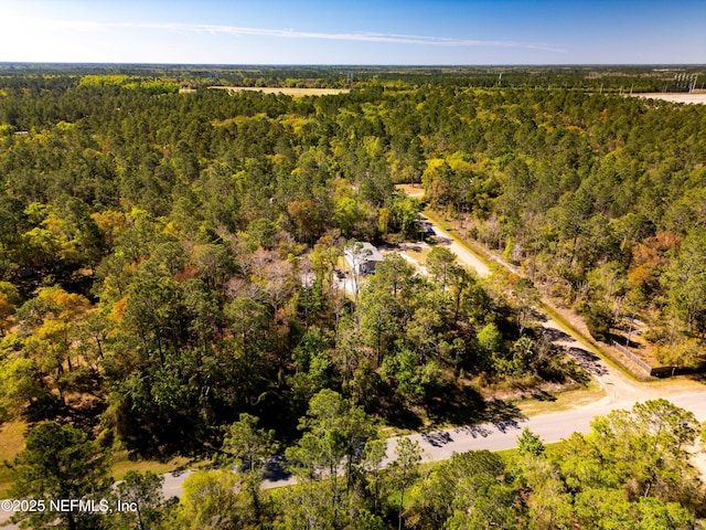 10600 Gregory Ave, Hastings, FL 32145 - photo 4