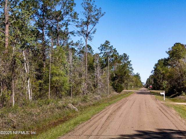 10600 Gregory Ave, Hastings, FL 32145 - photo 6