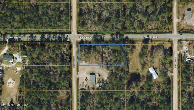 10600 Gregory Ave, Hastings, FL 32145 - photo 7