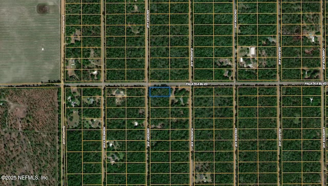 10600 Gregory Ave, Hastings, FL 32145 - photo 8