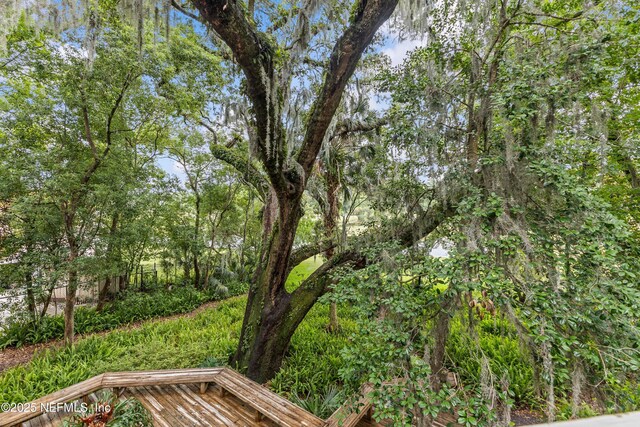 6730 Strawberry Ln, Jacksonville, FL 32211 - photo 33