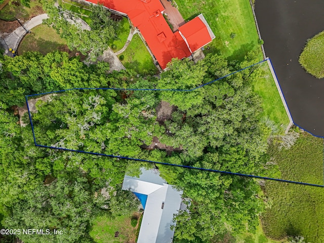 6730 Strawberry Ln, Jacksonville, FL 32211 - photo 47