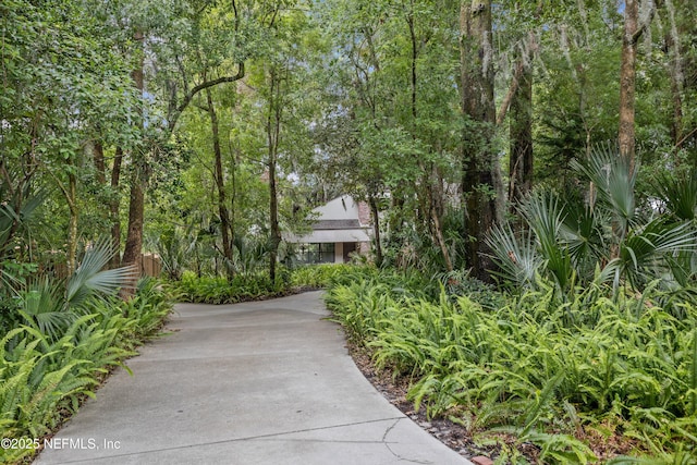 6730 Strawberry Ln, Jacksonville, FL 32211 - photo 4