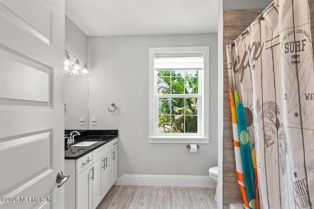 3083 S Ponte Vedra Blvd, Ponte Vedra Beach, FL 32082 - full bathroom featuring vanity, toilet, baseboards, and a shower with curtain