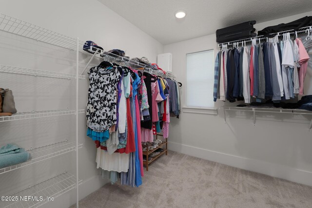 55 Rainbow Trout Ln, Ponte Vedra, FL 32081 - walk in closet featuring carpet floors