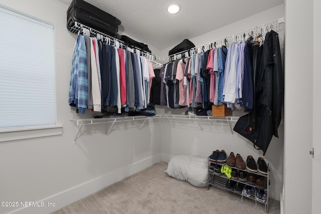 55 Rainbow Trout Ln, Ponte Vedra, FL 32081 - spacious closet featuring carpet flooring