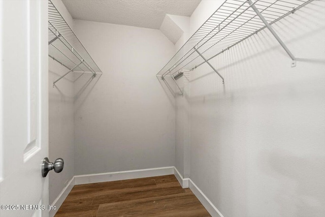 7372 Secret Woods Dr, Jacksonville, FL 32216 - spacious closet with wood finished floors