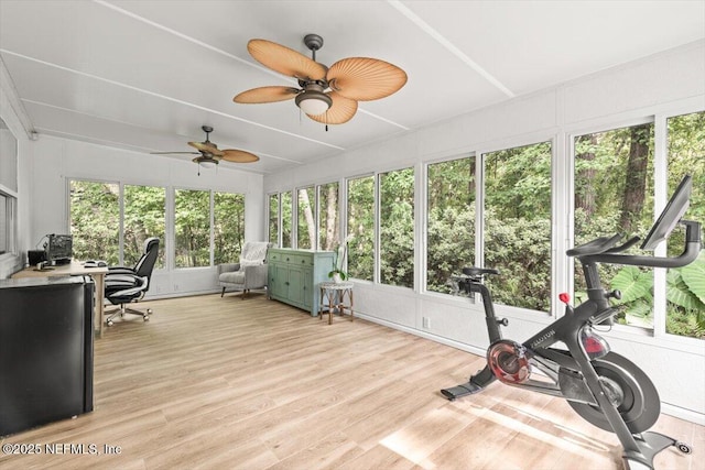 7372 Secret Woods Dr, Jacksonville, FL 32216 - sunroom with ceiling fan, healthy amount of natural light, wood finished floors, and a deck