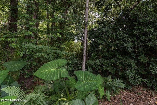 7372 Secret Woods Dr, Jacksonville, FL 32216 - exterior view
