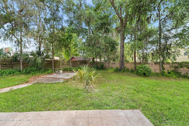 view of yard featuring a fenced backyard