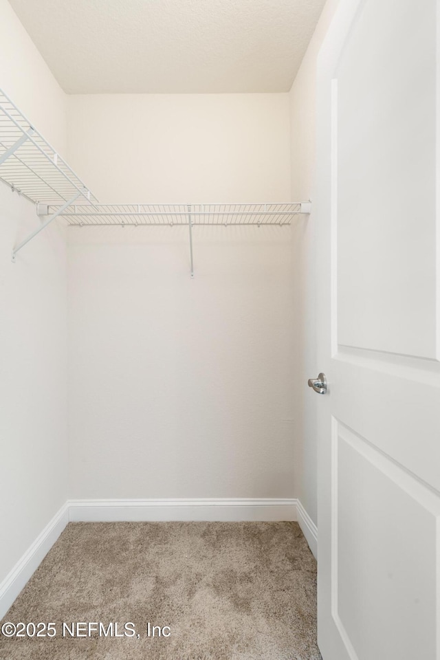 spacious closet featuring carpet