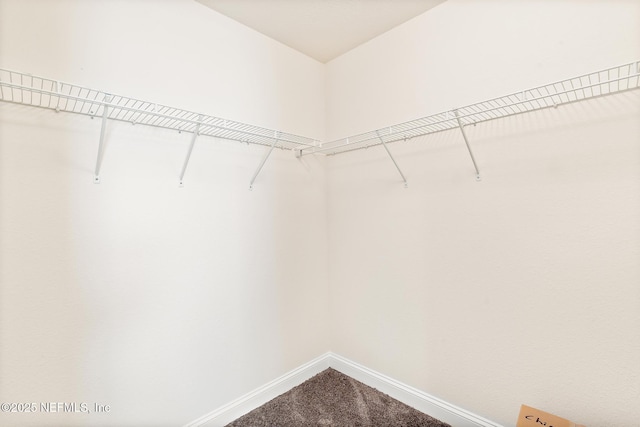 spacious closet with carpet flooring