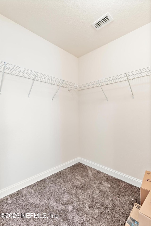 spacious closet with visible vents and carpet flooring