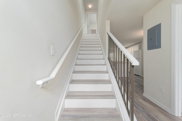 2005 Mariposa Vista Ln Unit 3-123, Saint Augustine, FL 32084 - stairway featuring a textured ceiling, baseboards, electric panel, and wood finished floors