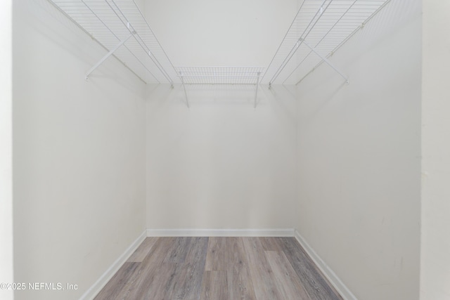 2005 Mariposa Vista Ln Unit 3-123, Saint Augustine, FL 32084 - spacious closet with light wood-style floors