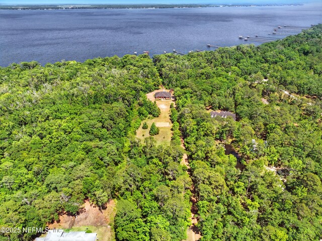 130 Falcon Dr, Green Cove Springs, FL 32043 - photo 37