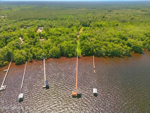 130 Falcon Dr, Green Cove Springs, FL 32043 - photo 35