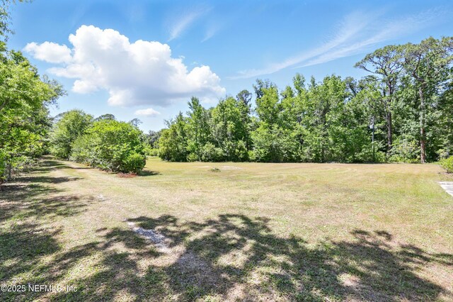 130 Falcon Dr, Green Cove Springs, FL 32043 - photo 42