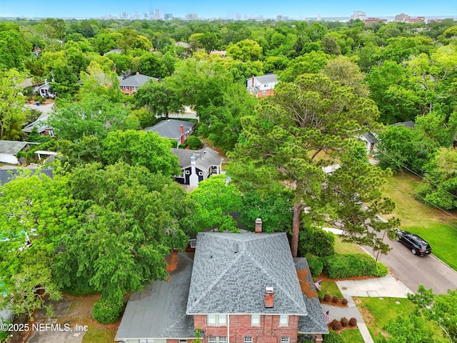 bird's eye view