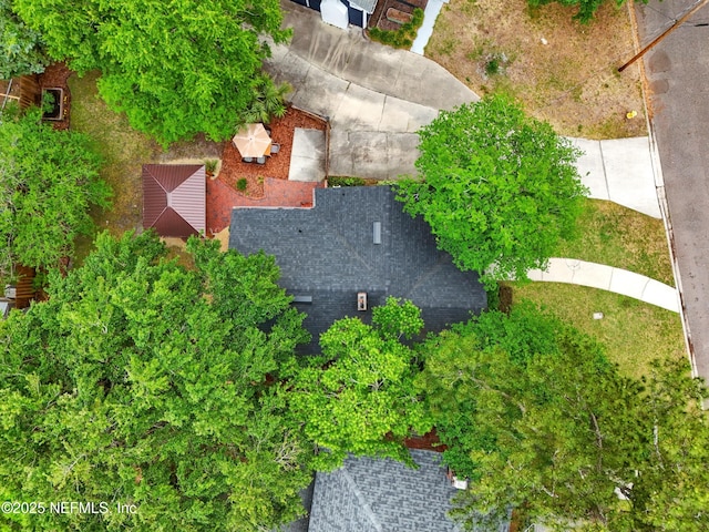 bird's eye view