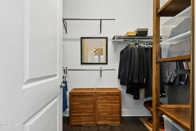 1553 Coastal Oaks Cir, Fernandina Beach, FL 32034 - spacious closet with wood finished floors
