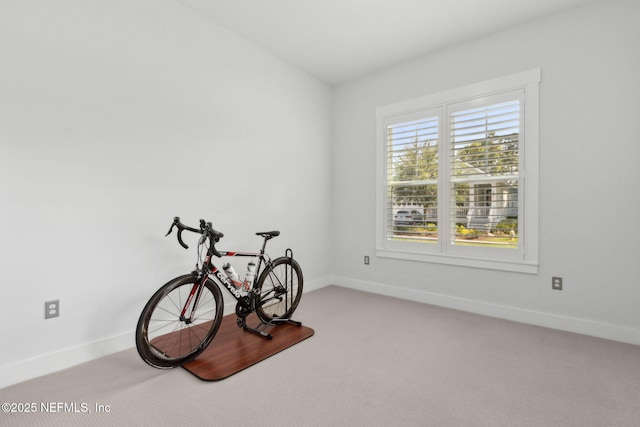1553 Coastal Oaks Cir, Fernandina Beach, FL 32034 - workout area with baseboards and carpet flooring