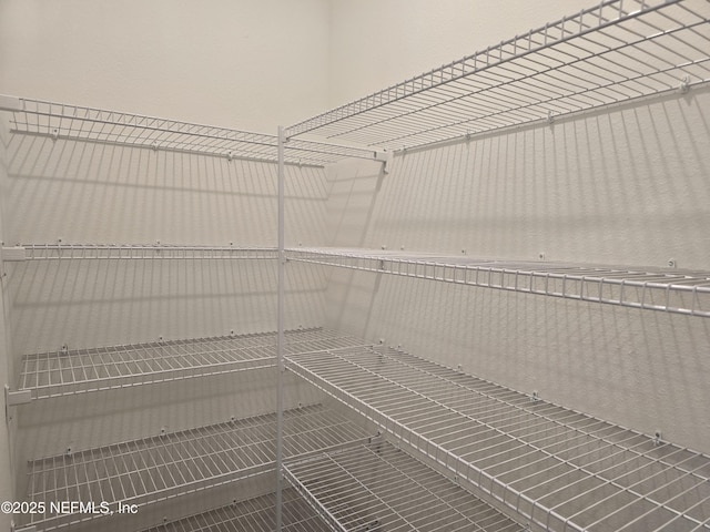 3267 Pipers Way, Green Cove Springs, FL 32043 - view of pantry