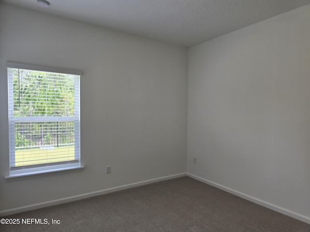 3267 Pipers Way, Green Cove Springs, FL 32043 - empty room with plenty of natural light, baseboards, and carpet
