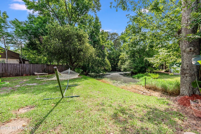 4030 Tyndel Creek Pl, Jacksonville, FL 32223 - view of yard