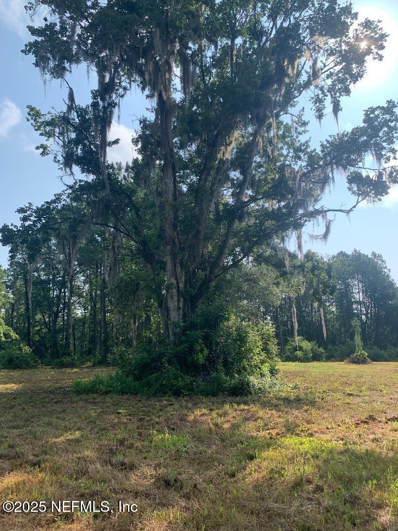 5181 County Road 218, Middleburg, FL 32068 - photo 1