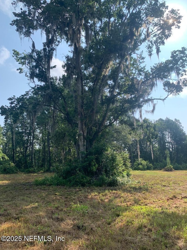 5181 County Road 218, Middleburg, FL 32068 - photo 1