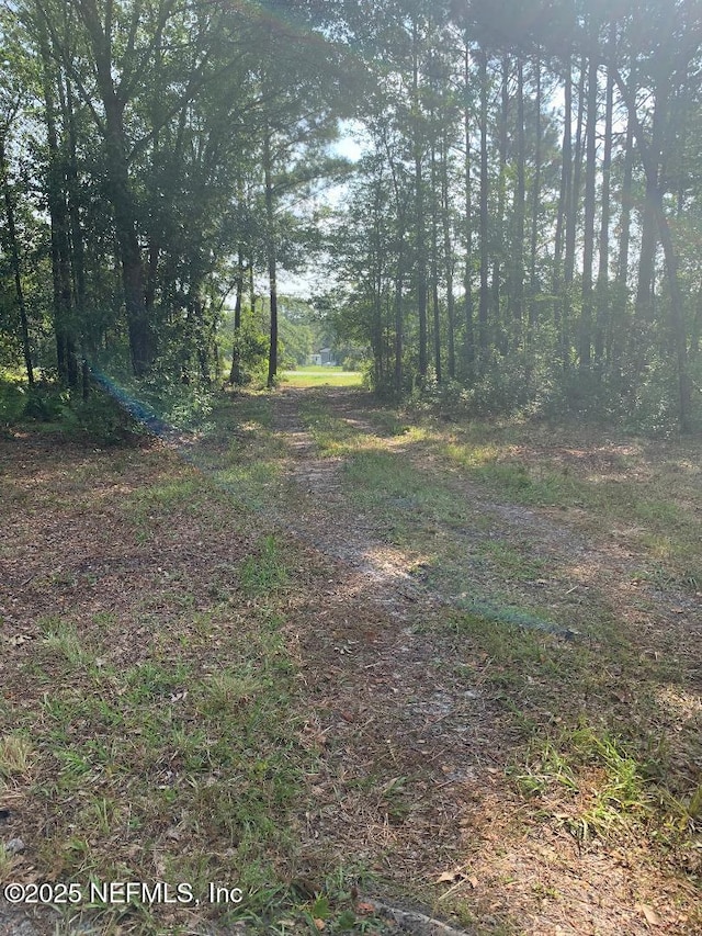 5181 County Road 218, Middleburg, FL 32068 - photo 2