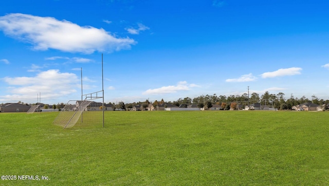 4323 Warm Springs Way, Middleburg, FL 32068 - view of yard with an area for soccer