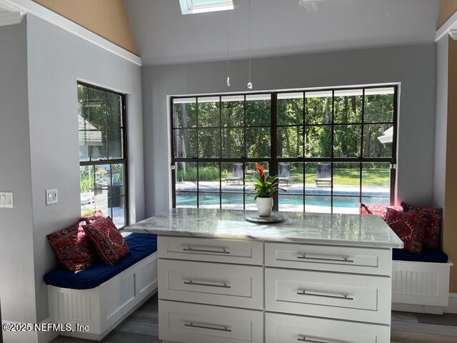 interior space featuring vaulted ceiling, plenty of natural light, and wood finished floors