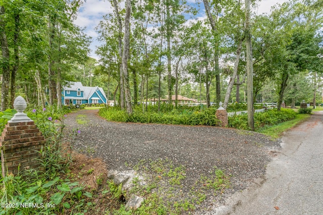 view of road featuring gravel driveway