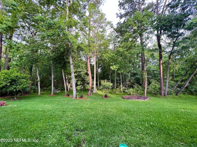 1304 Hideaway Dr S, Saint Johns, FL 32259 - view of green lawn