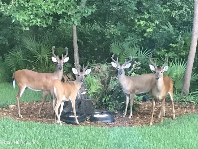 1304 Hideaway Dr S, Saint Johns, FL 32259 - view of stable